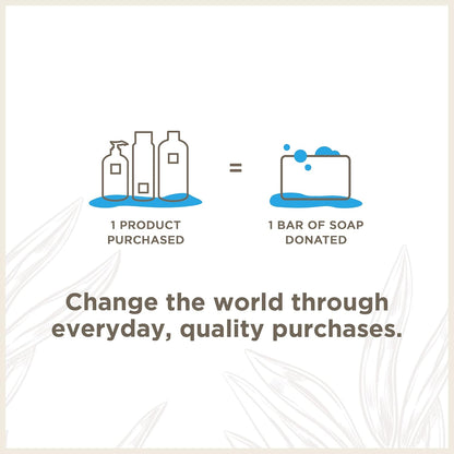 Soapbox Argan Oil Shampoo, Harsh Sulfate Free, Paraben & Silicone Free, Color Safe, and Vegan Hair