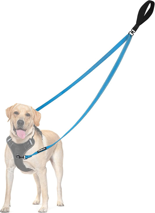 PetBonus Two Point Control Dog Leash, Works with No Pull Harnesses, No Tangle Training Leashes