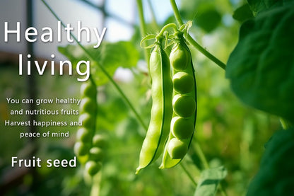 Vegetable Seeds Kit Fruit Seeds for Planting Non-GMO and Heirloom 35 Varieties Seeds for Planting