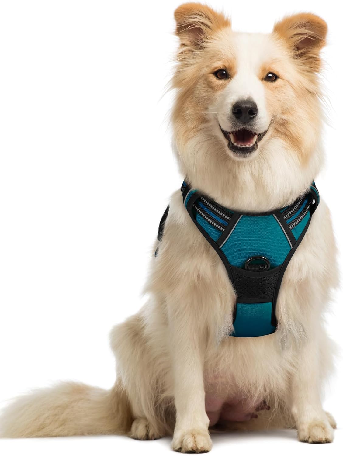 rabbitgoo Dog Harness No Pull with 2 Leash Clips, Adjustable Soft Padded, Reflective Oxford No