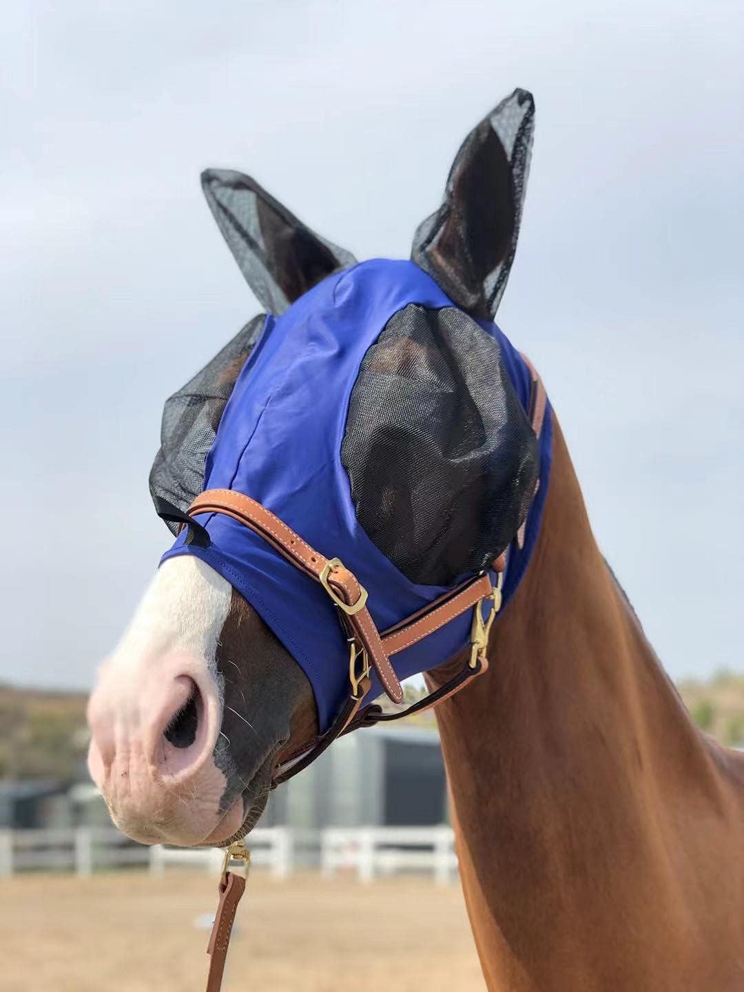Horse Fly Mask Super Comfort Horse Fly Mask Elasticity Fly Mask with Ears We Only Make Products