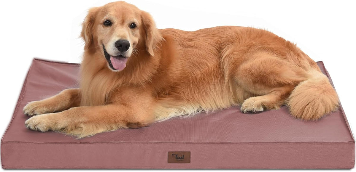 Outdoor Extra Large Dog Bed for Big Dogs, Waterproof Dog Bed for Large Dogs, Egg Crate Foam XL Pet