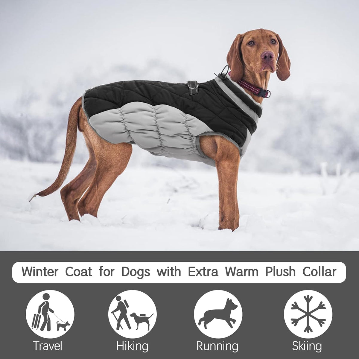 FUAMEY Dog Coat for Small Dogs,Waterproof Dog Winter Jacket with Harness Built in Puppy Cold