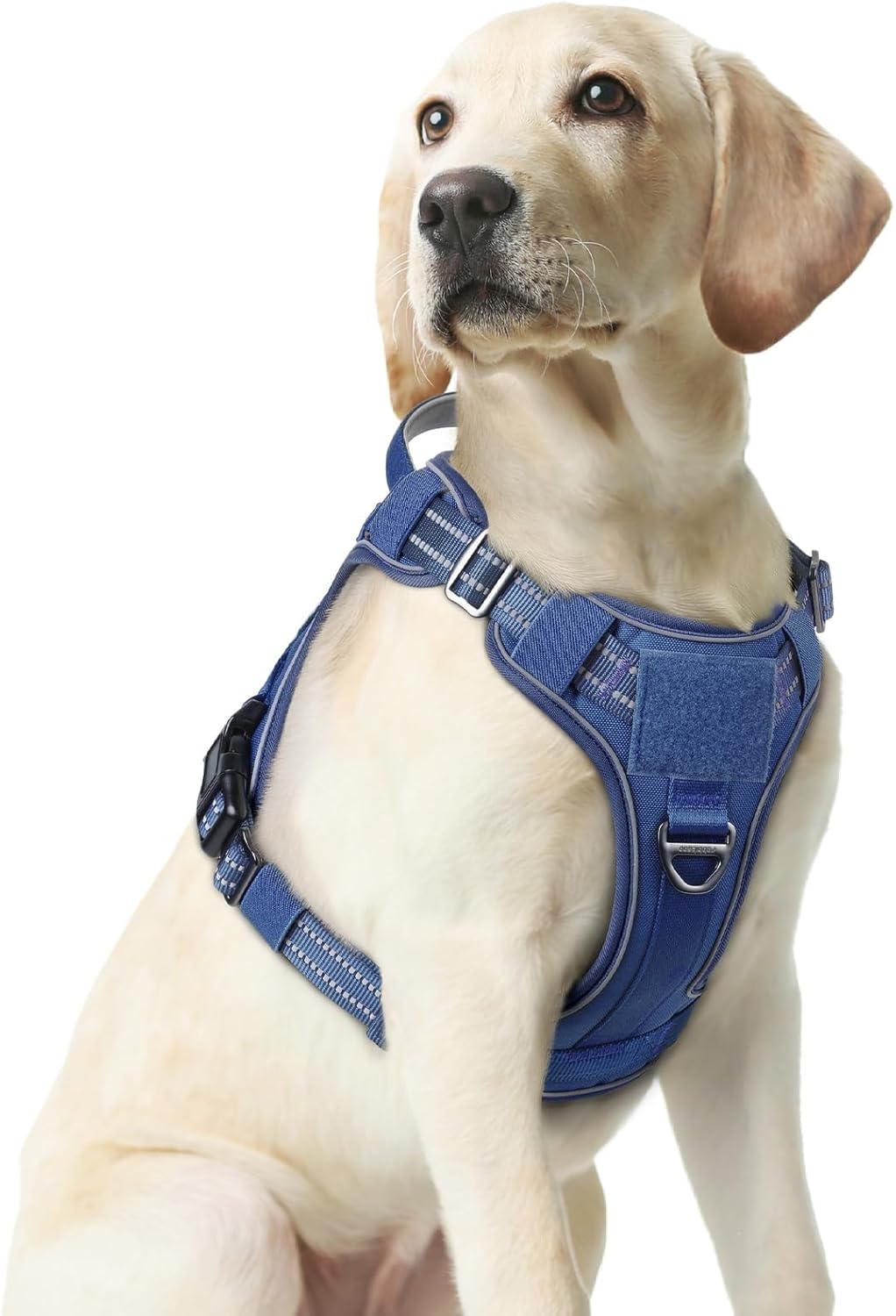 rabbitgoo Dog Harness Medium Sized No Pull, Tactical Service Pet Vest with Molle and Control