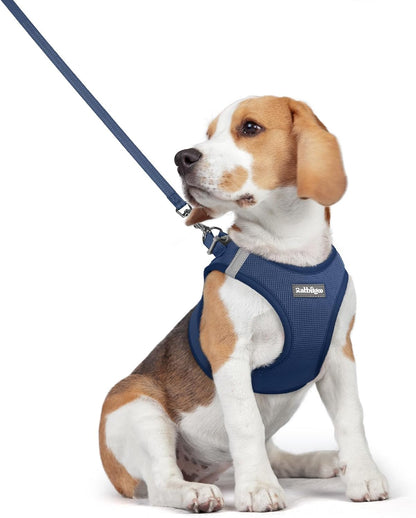 rabbitgoo Dog Harness Small Medium Sized and Leash Set, Step in Soft Light Puppy Vest, Breathable