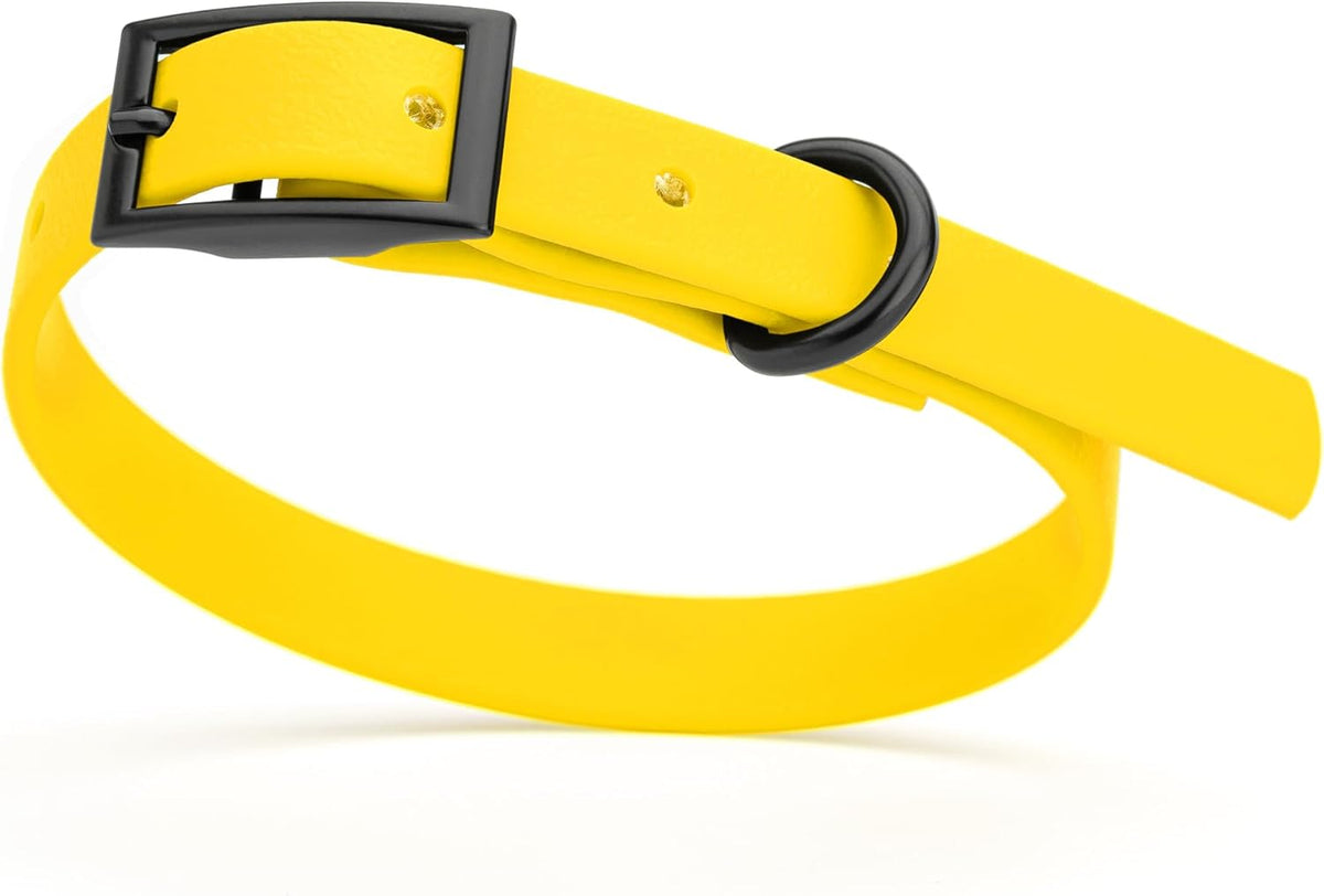 Dogline Biothane Waterproof Dog Collar Strong Coated Nylon Webbing with Black Hardware Odor- Proof
