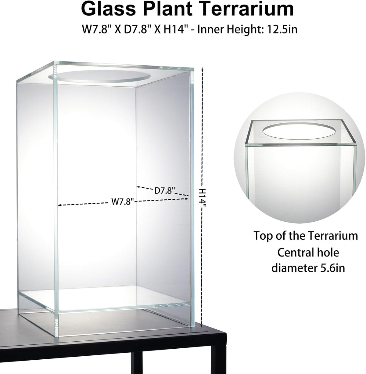 Desktop Glass Plant Terrarium with Grow Light(L7.8 W7.8 H14), for Succulent, Moss, Miniature