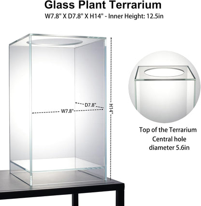Desktop Glass Plant Terrarium with Grow Light(L7.8 W7.8 H14), for Succulent, Moss, Miniature