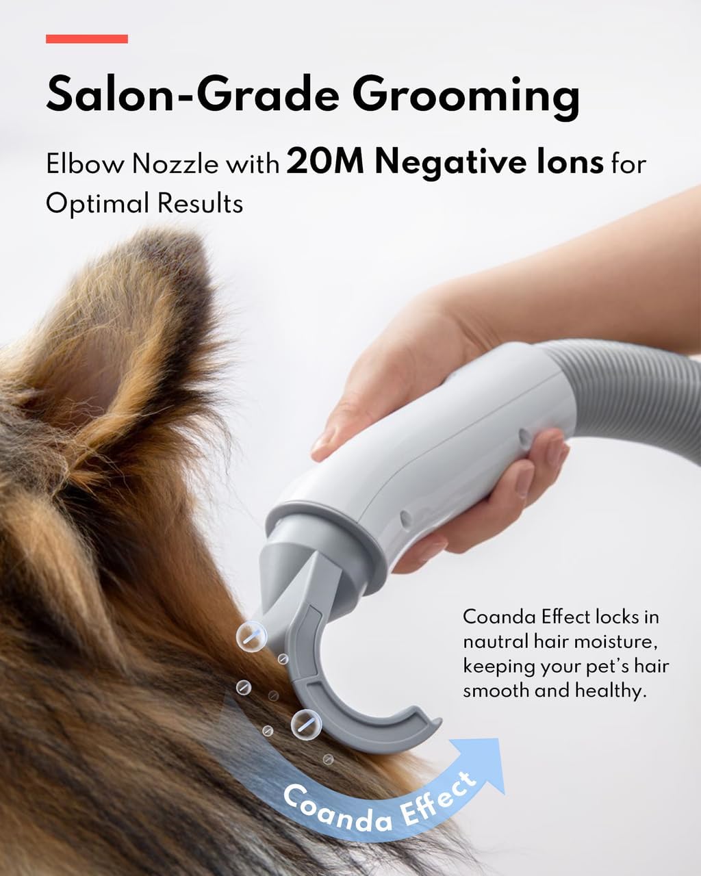 HomeRunPet Dog Dryer, Pet Hair Dryer with 99 Adjustable Wind Speed and Temperature Control, 3