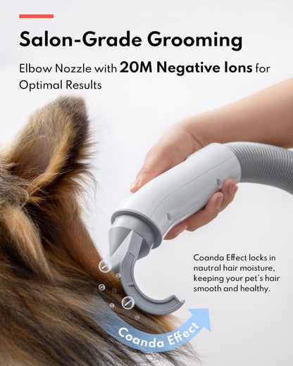 HomeRunPet Dog Dryer, Pet Hair Dryer with 99 Adjustable Wind Speed and Temperature Control, 3
