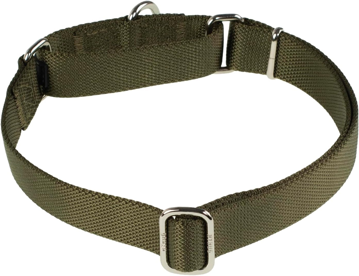 Hyhug Pets Premium Upgraded Heavy Duty Nylon Anti-Escape Martingale Collar for Boy and Girl Dogs