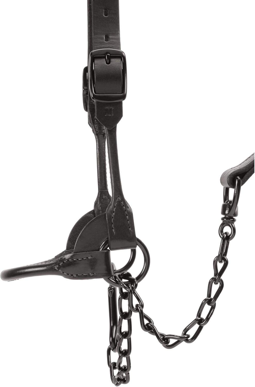 Weaver Livestock Leather Magic Show Cattle Halter, Adjustable, Modern Style Cow Calf Halter