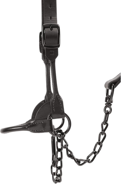 Weaver Livestock Leather Magic Show Cattle Halter, Adjustable, Modern Style Cow Calf Halter