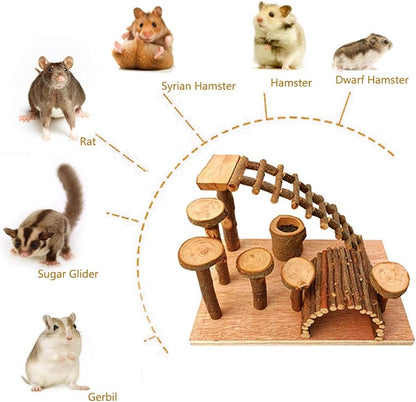 Wooden Hamster Bridge, Small Animals Climbing Ladder Activity Set Platform Ramps Playground Toys