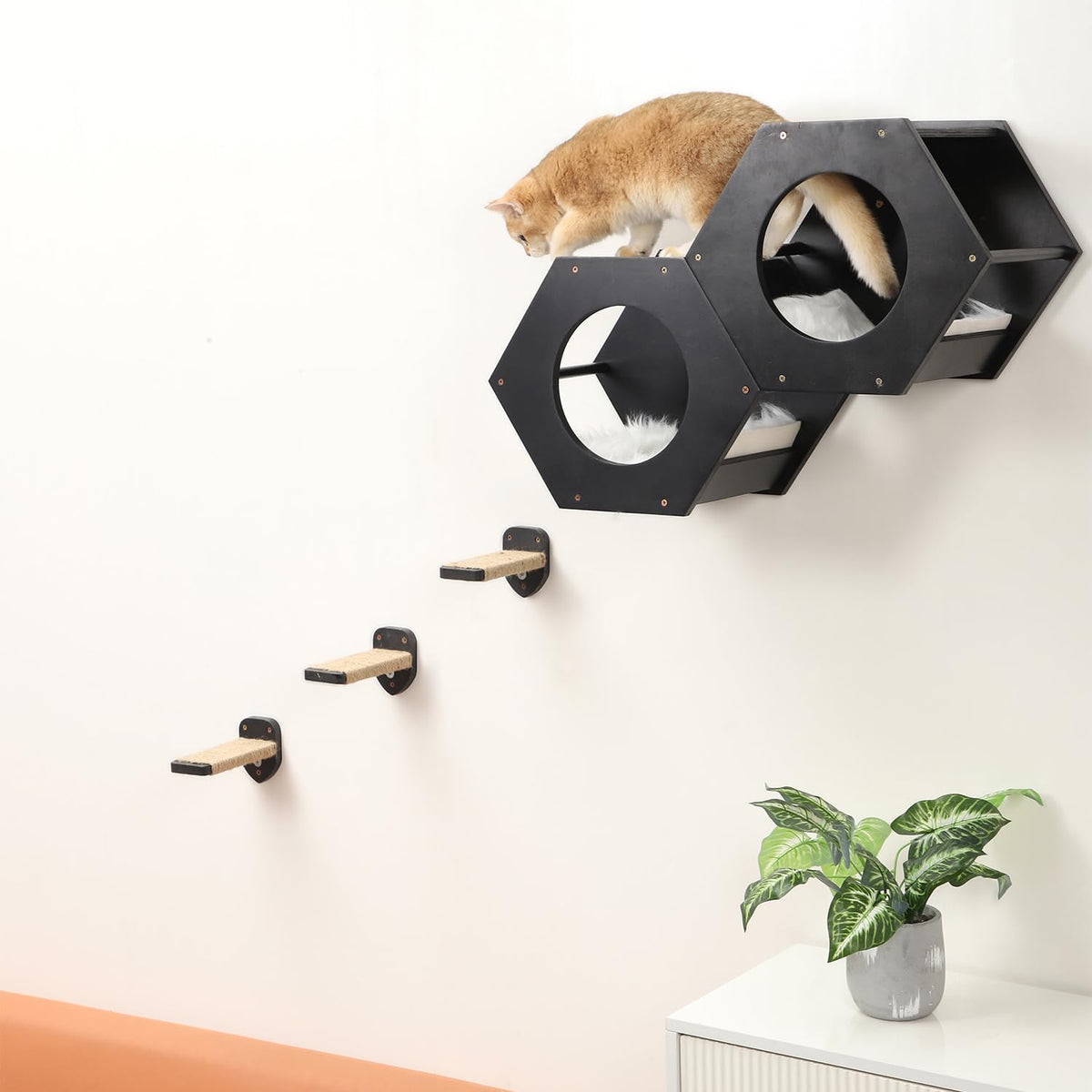 3 Pcs Cat Steps and Perches for Wall, Climbing Shelf With Hemp Rope, Wall-Mounted Furniture Set