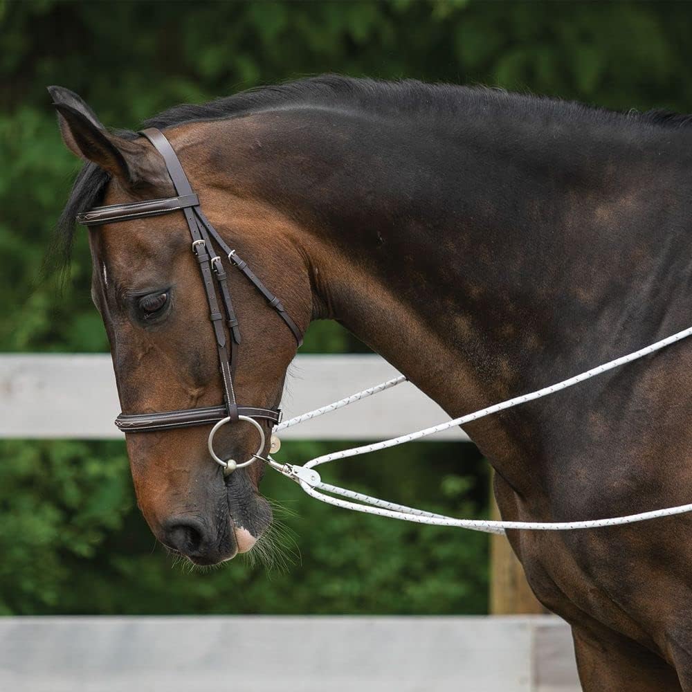 Advanced European Training System | Advanced Training Tool | Enhances Horse Carriage and Headset |