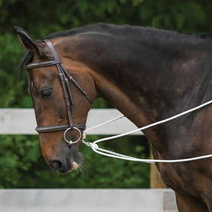 Advanced European Training System | Advanced Training Tool | Enhances Horse Carriage and Headset |