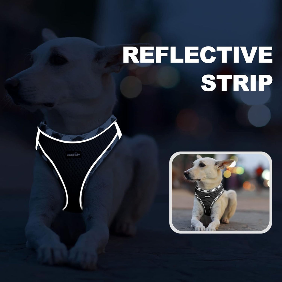haapaw Dog Harness with Leash Set, No Pull Adjustable Reflective Step-in Puppy Harness with