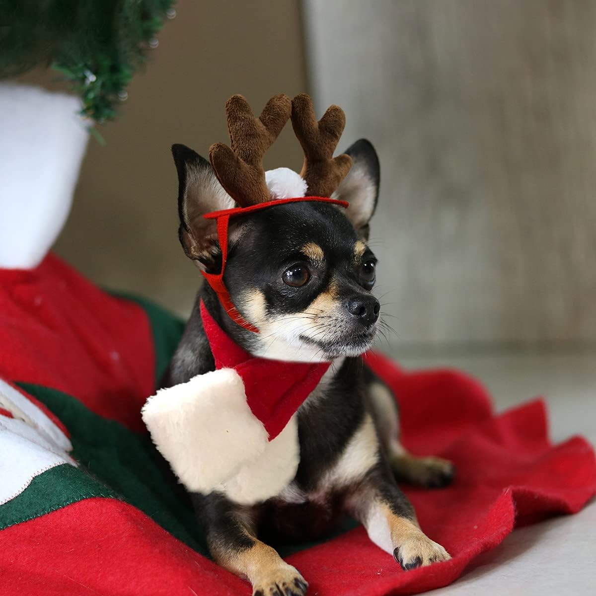 Enjoying Pet Christmas Costumes for Cats Small Dogs, Cat Reindeer Antlers Headband with Xmas Scarf