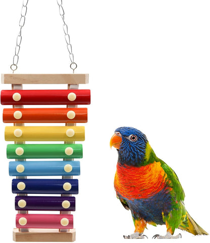 Colorful Bird Xylophone Toy, Suspensible Funny Xylophone Toy with 8 Metal Keys, Bird Cage Toy