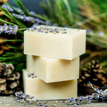 Chagrin Valley Soap & Salve Organic Dog Shampoo and Conditioner - Puppy Shampoo Itchy Skin Relief