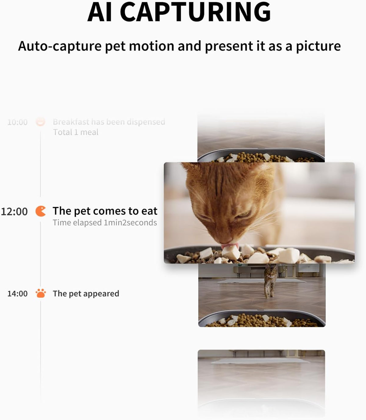 PETKIT Automatic Cat Dog Feeder with Camera, AI-Powered Motion Capturing, 1080P HD Video with Night