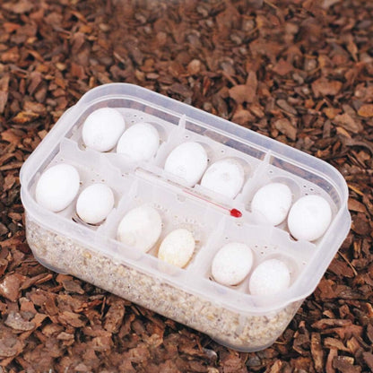 Zerodis Reptile Breeding Box, Plastic Incubator with Transparent Lid for Hatching Gecko, Lizards