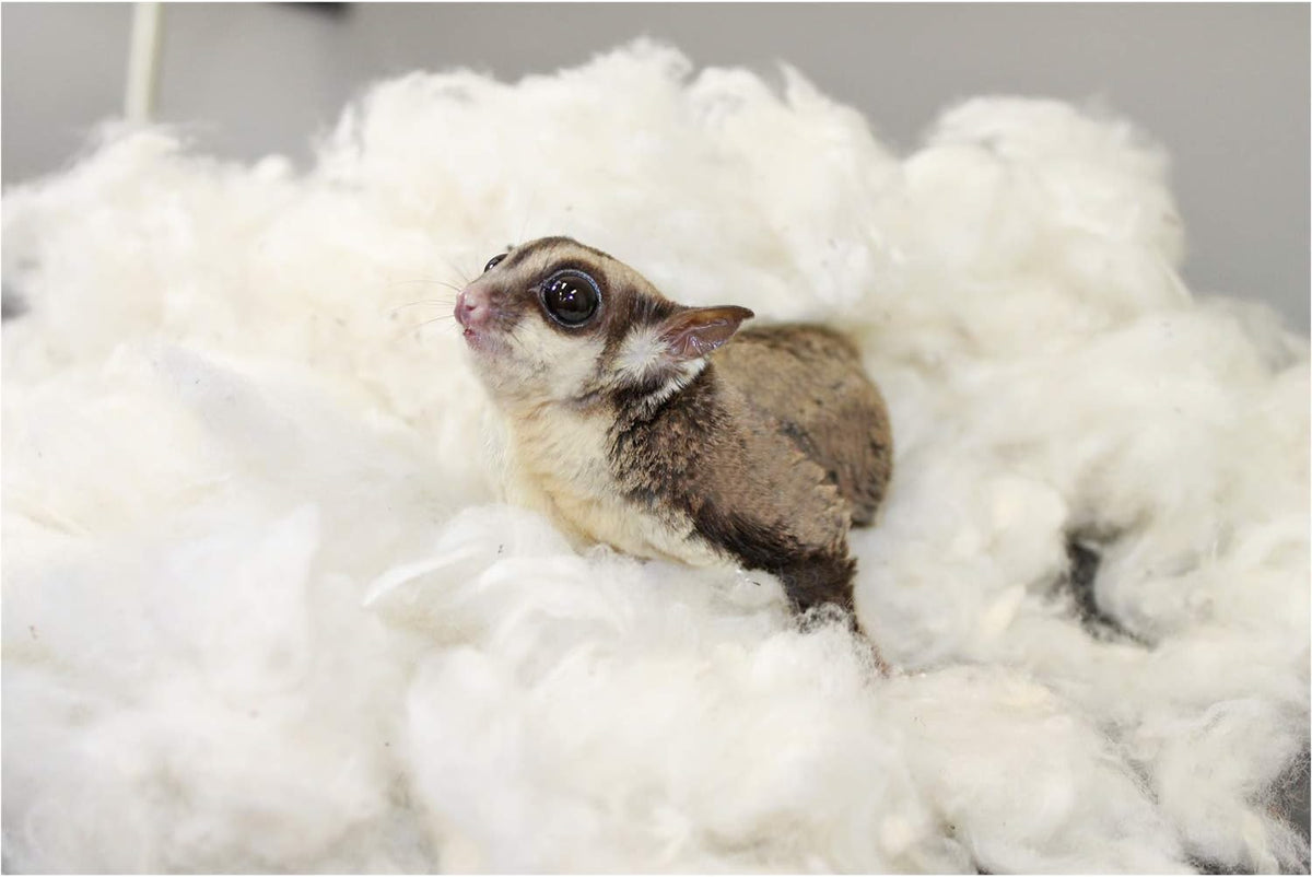 All-Natural Nesting Material (4 oz.) - 100% Cotton Eco-Friendly Animal Bedding - For Sugar Gliders