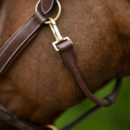 Joseph Sterling Comfort Crown Leather Halter for Horses | Memory Foam Interior for Comfort |