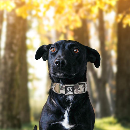 TSPRO Tactical Dog Collar 1.25 Inch Wide Thick Dog Collars with Heavy Duty Metal Buckle, Durable