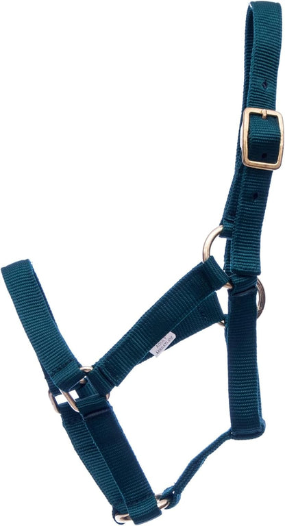 Jeffers Equine Mini Horse Halter – 3/4" Nylon Adjustable Halter for Miniature Horses, Ponies, Under