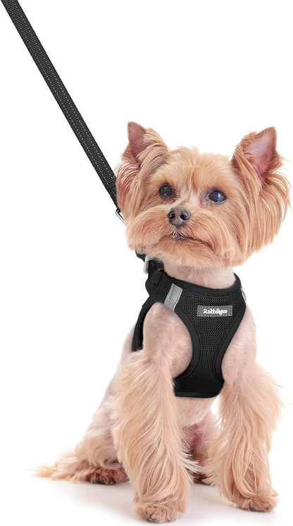 rabbitgoo Dog Harness Small Sized and Leash Set, Step in Soft Light Puppy Vest, Breathable Mesh Pet