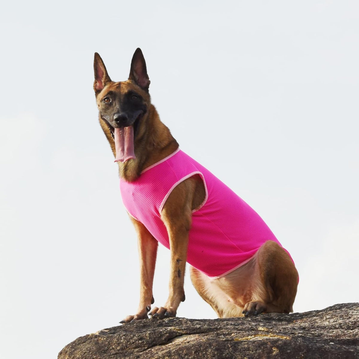 2 Pack Cooling Shirts for Dogs, Breathable Lightweight Dog Shirts for Small Dogs Girl, Sleeveless