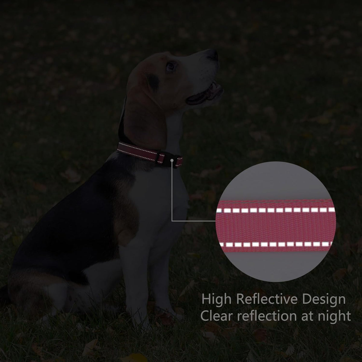 Reflective Dog Collar Padded with Soft Neoprene Breathable Quick Release Basic Dog Collars for