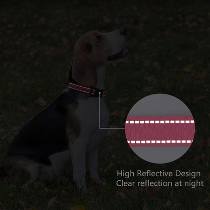 Reflective Dog Collar Padded with Soft Neoprene Breathable Quick Release Basic Dog Collars for