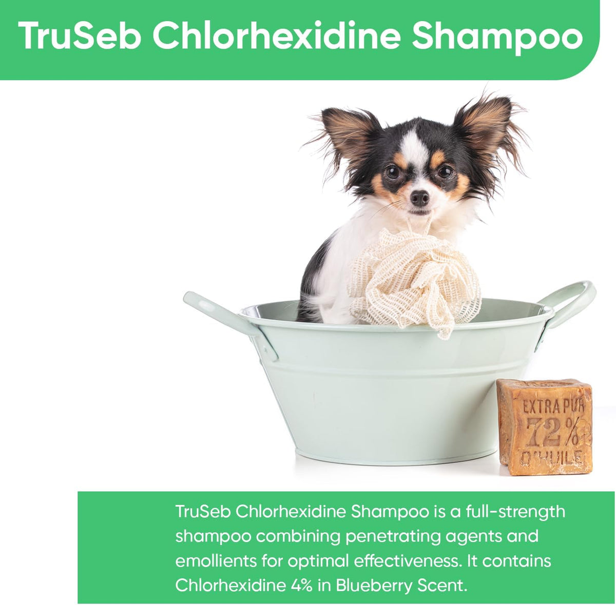 Truseb Topical Chlorhexidine 4% Shampoo for Dogs, Cats & Horses (12 oz)- with Aloe for Cleansing