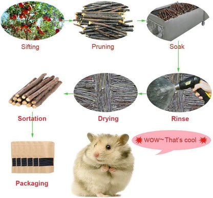 500g Apple Sticks Small Animals Molar Wood Toys for Rabbits Chinchillas Guinea Pig Hamster Gerbil
