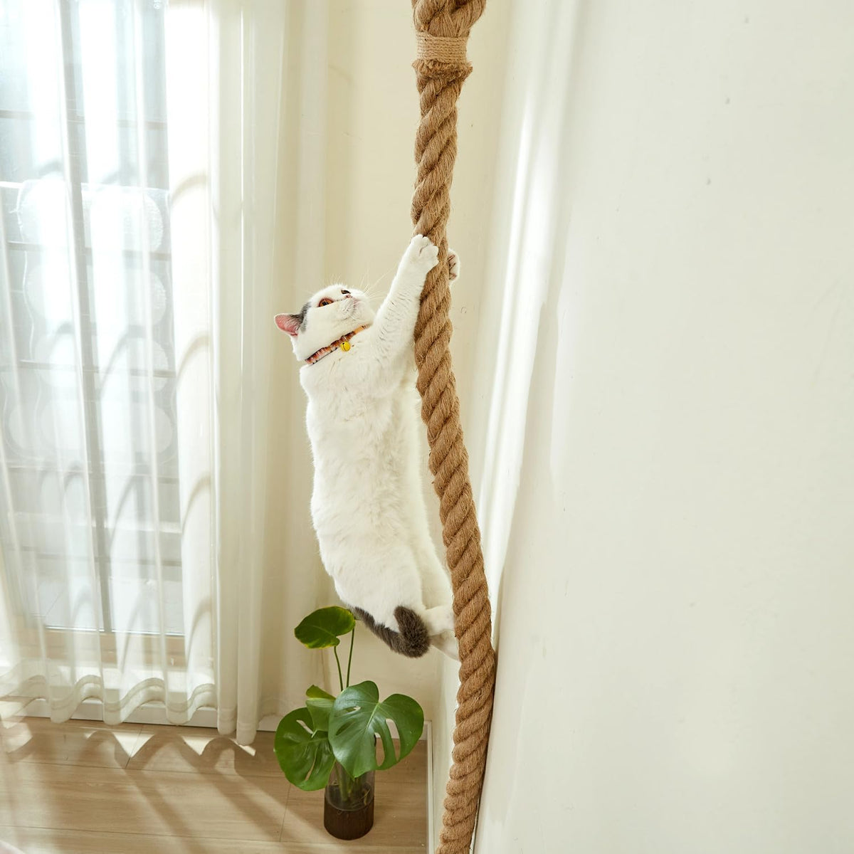 SHENGOCASE 1.9" x 6.56Ft Cat Climbing Jute Rope with Hook, Wall Mounted Furniture for Indoor and