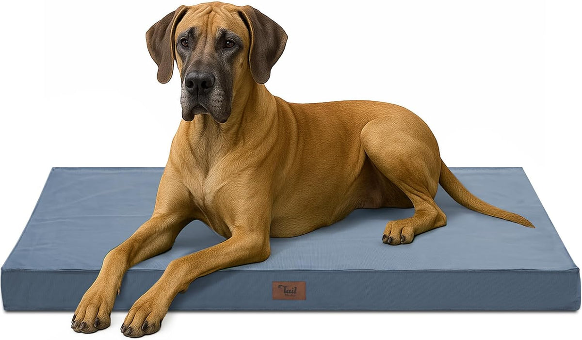 Outdoor Extra Large Dog Bed, Jumbo Waterproof Dog Bed for Large Dogs, Orthopedic Egg Foam Pet Bed