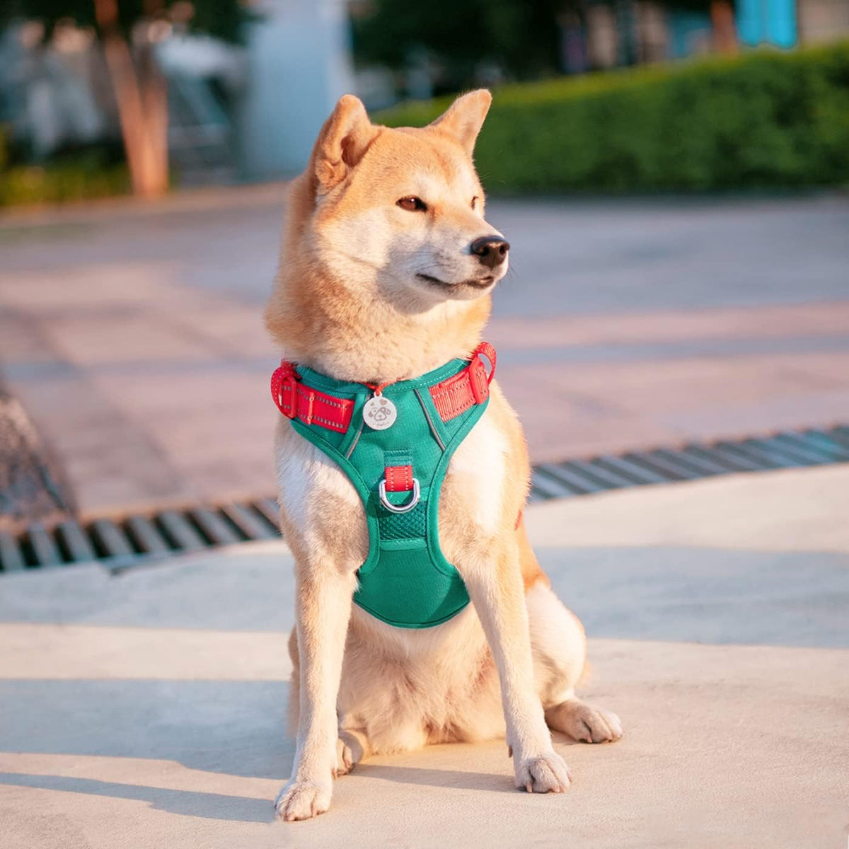 PHOEPET No Pull Dog Harness, Unique Colors Reflective Adjustable Dog Vest, with Soft Training