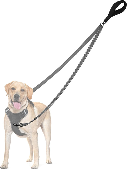 PetBonus Two Point Control Dog Leash, Works with No Pull Harnesses, No Tangle Dog Training Leashes