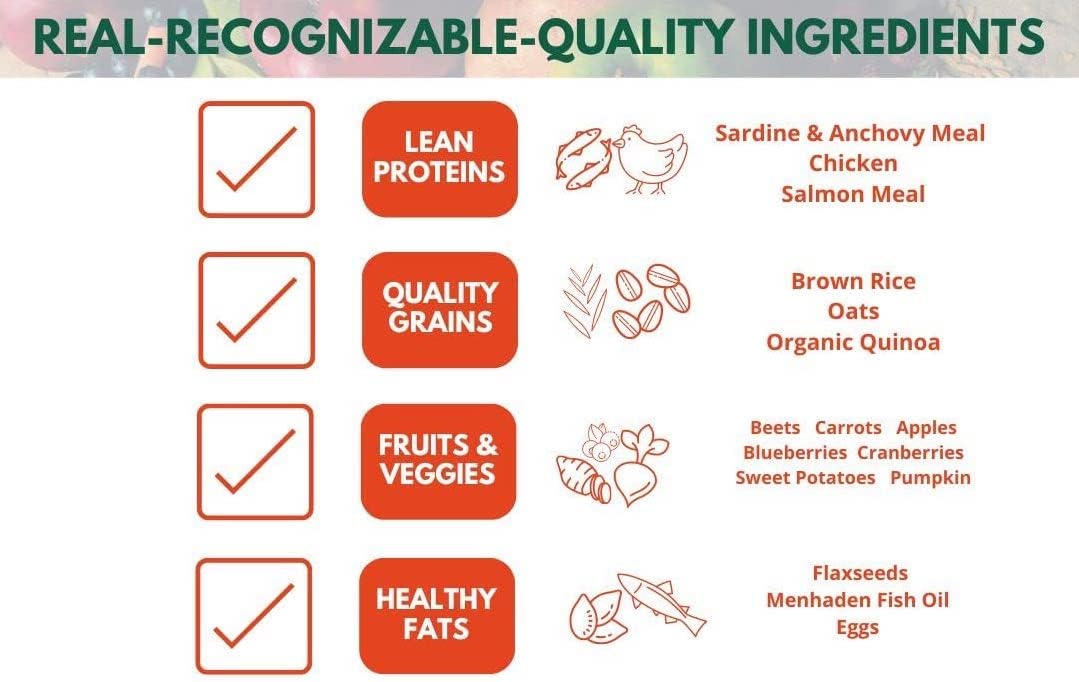 Bench & Field Holistic Natural Healthy Kitty Cat Treats | Crunchy Fish-Shaped Bites | Delicious