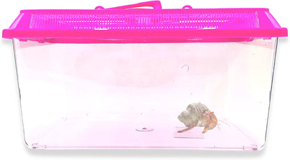 Needzo Mini Neon Plastic Reptile Carrier, Small Terrariums for Hermit Crabs, Lizards, and More with