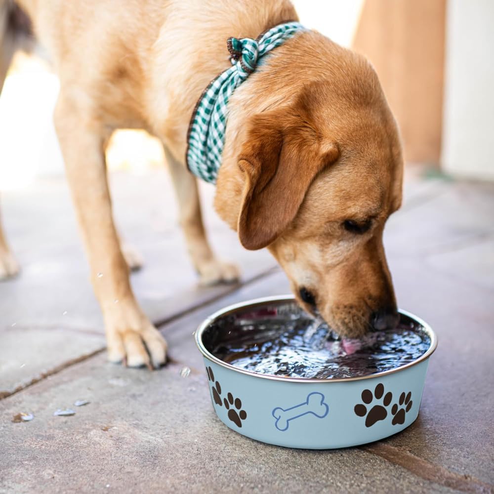 Loving Pets Bella Dog Bowls- Stainless Steel Dog & Cat Bowls - Spill Proof Dog Food Bowl, Cat Bowl