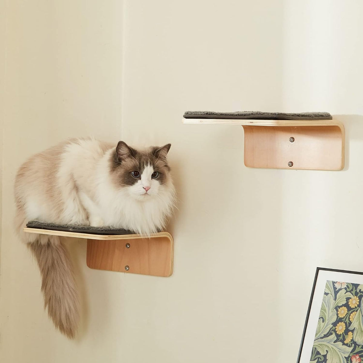 2 Set Cat Wall Steps - Wooden Cat Climbing Shelf for Wall - Cats Wall Stairs with Scratching Mat