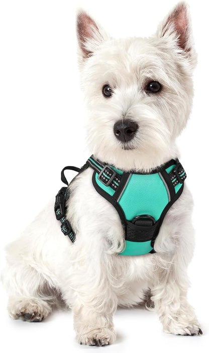 rabbitgoo Dog Harness No Pull with 2 Leash Clips, Adjustable Soft Padded, Reflective Oxford No