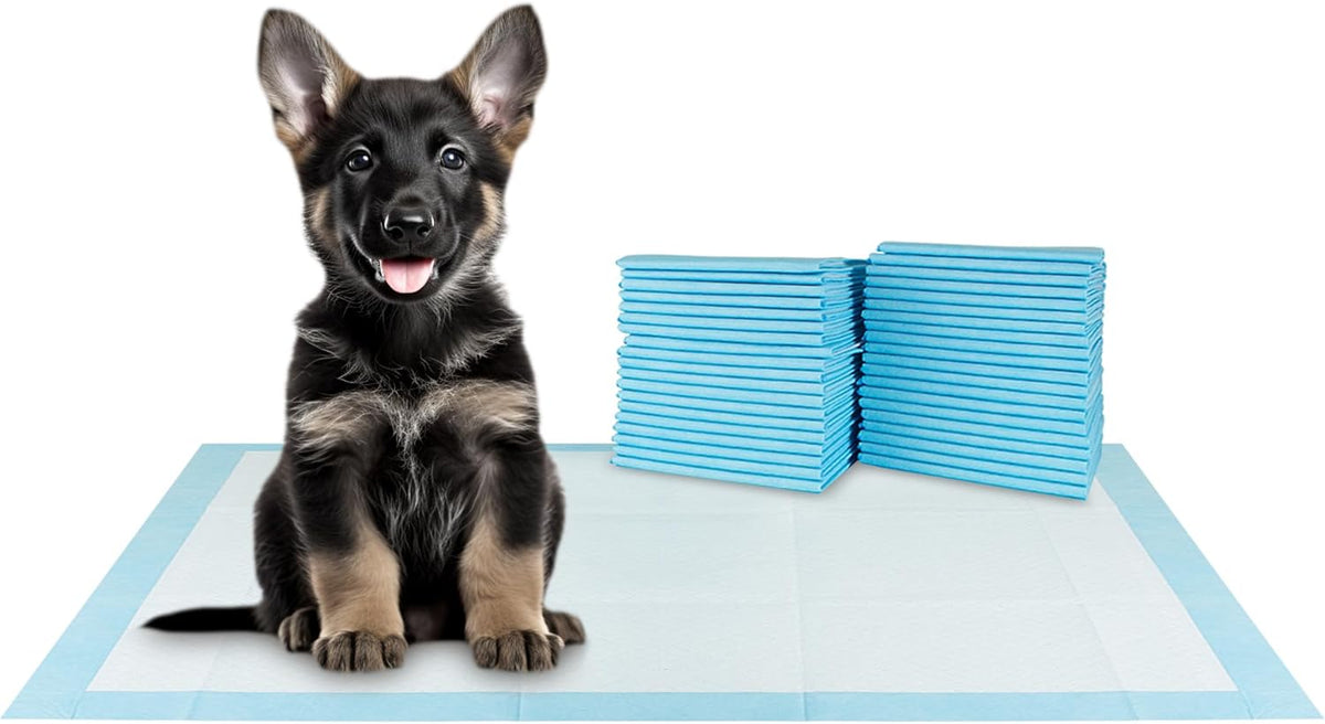 BV XXL Puppy Pads 20 Count 30" x 36" - Leak-Proof Pee Pads for Dogs with 6-Layer Design, Rapid Dry
