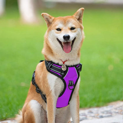 PoyPet No Pull Dog Harness, Reflective Comfortable Vest Harness with Front & Back 2 Leash