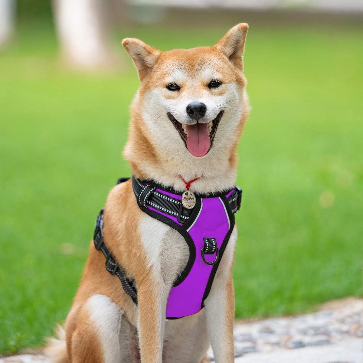 PoyPet No Pull Dog Harness, Reflective Comfortable Vest Harness with Front & Back 2 Leash