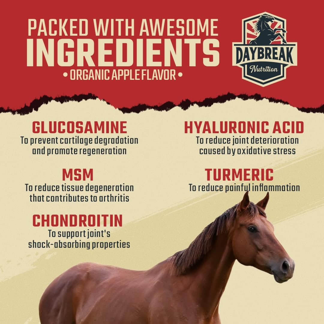 8 in 1 Maximum Strength Equine Joint Supplement - Joint Supplement for Horses - Glucosamine, MSM
